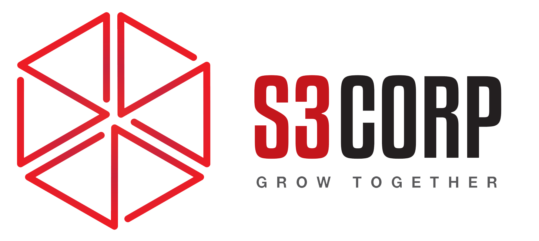 S3 Logo